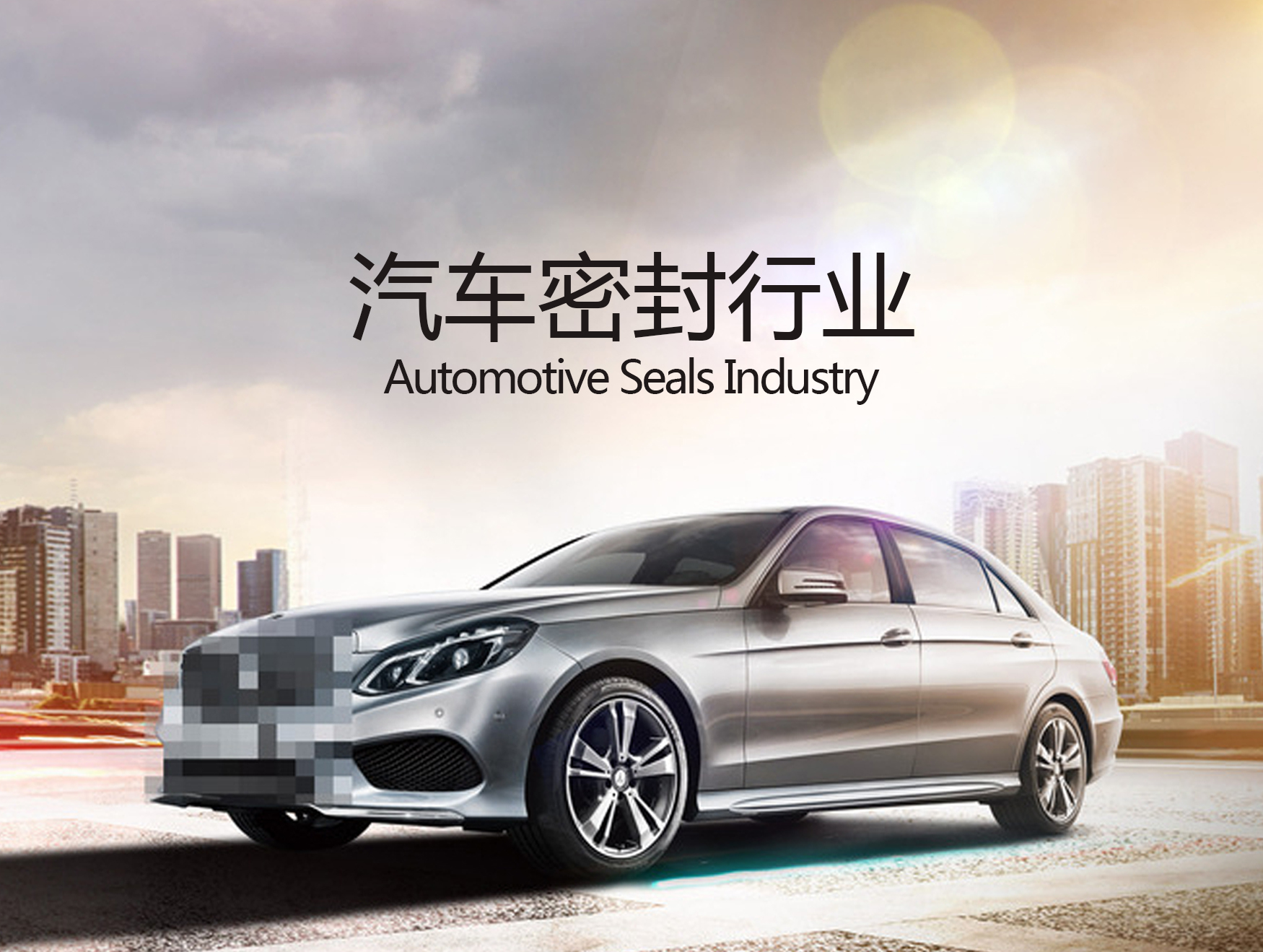 汽車行業專用密封件