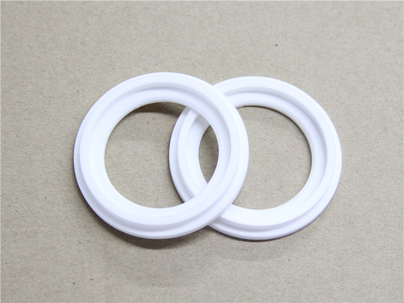 硬密封件，陶瓷密封件，產(chǎn)品