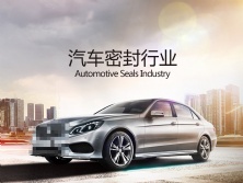 汽車行業專用密封件