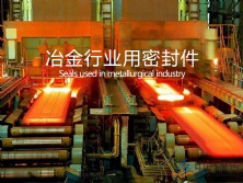 冶金行業密封件