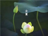 立夏已至,萬(wàn)物向陽(yáng);