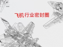 飛機行業密封件